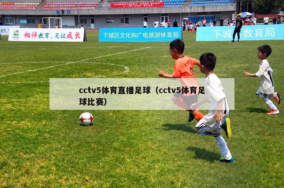 cctv5体育直播足球（cctv5体育足球比赛）